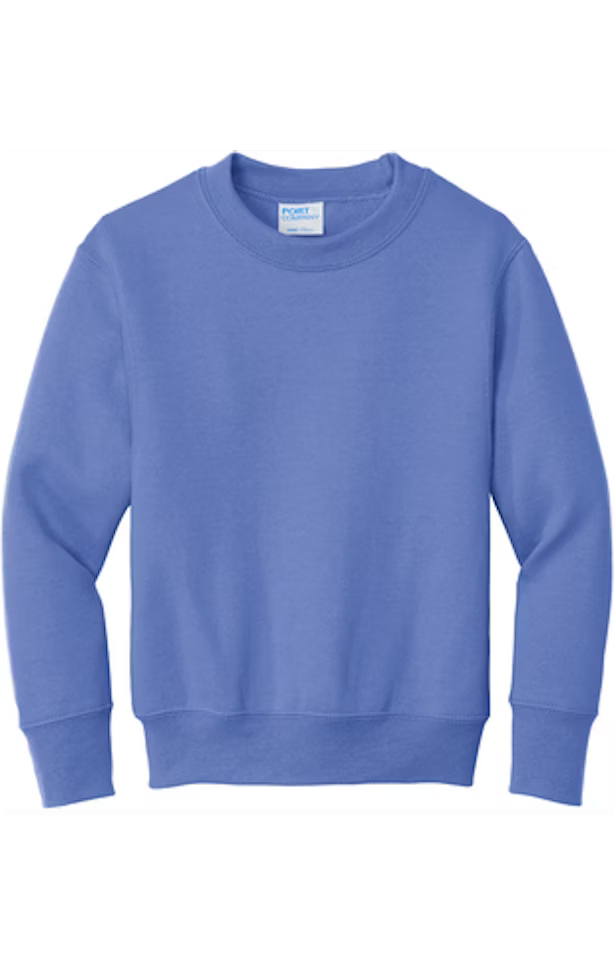 Port & Company PC90Y - Youth Core Fleece Crewneck Sweatshirt - Carolina Blue